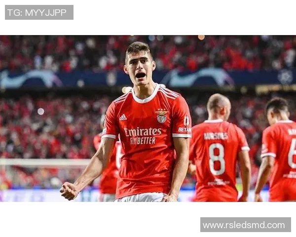 德甲激战:巴黎圣日耳曼大胜本菲卡引发全场惊叹赛后深度解析